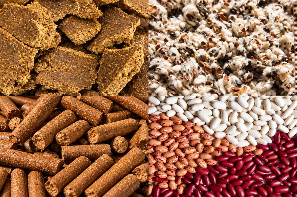 four-part-feed-and-bean-texture-collage